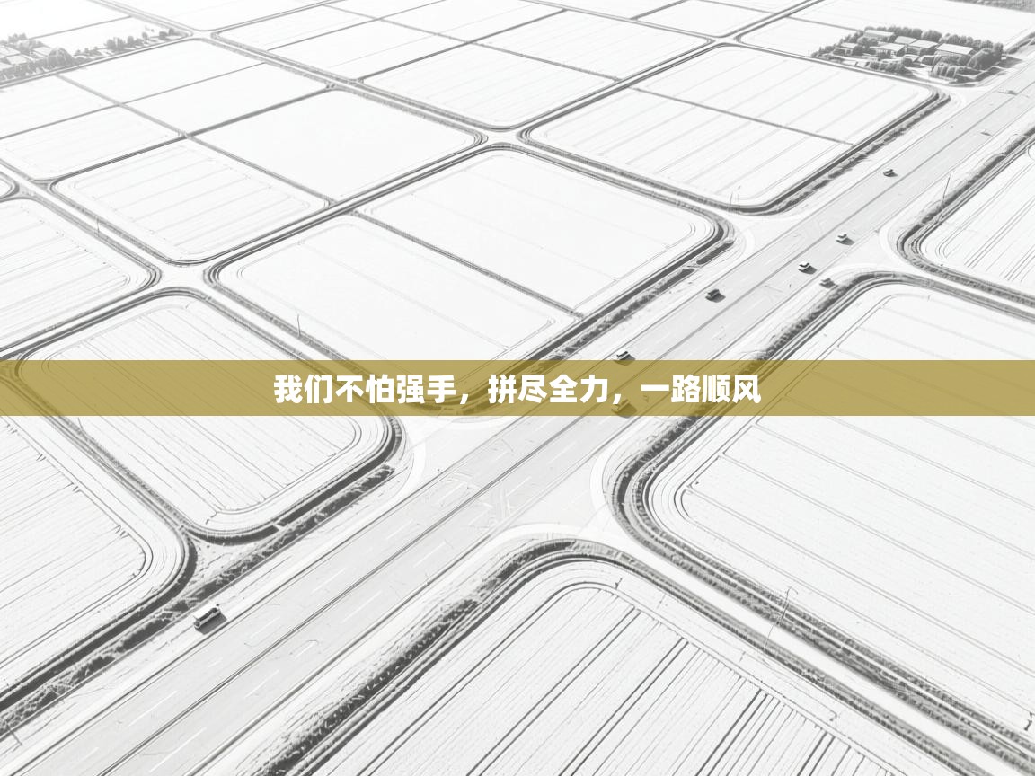 我们不怕强手，拼尽全力，一路顺风  第1张