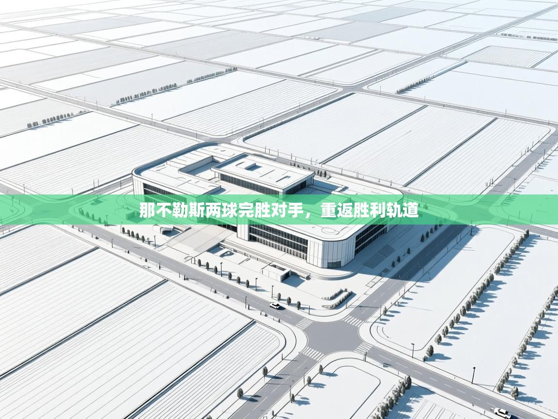 那不勒斯两球完胜对手，重返胜利轨道  第1张