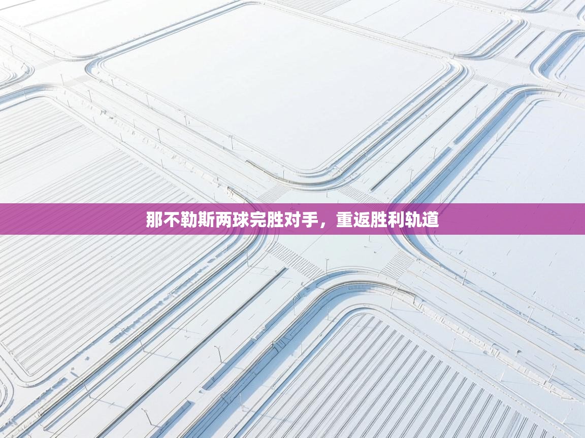 那不勒斯两球完胜对手，重返胜利轨道  第2张