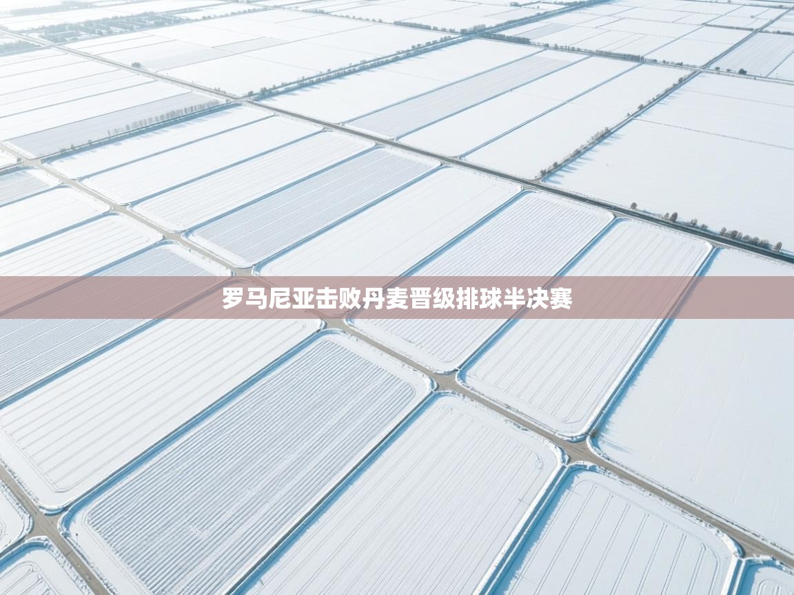 罗马尼亚击败丹麦晋级排球半决赛  第2张