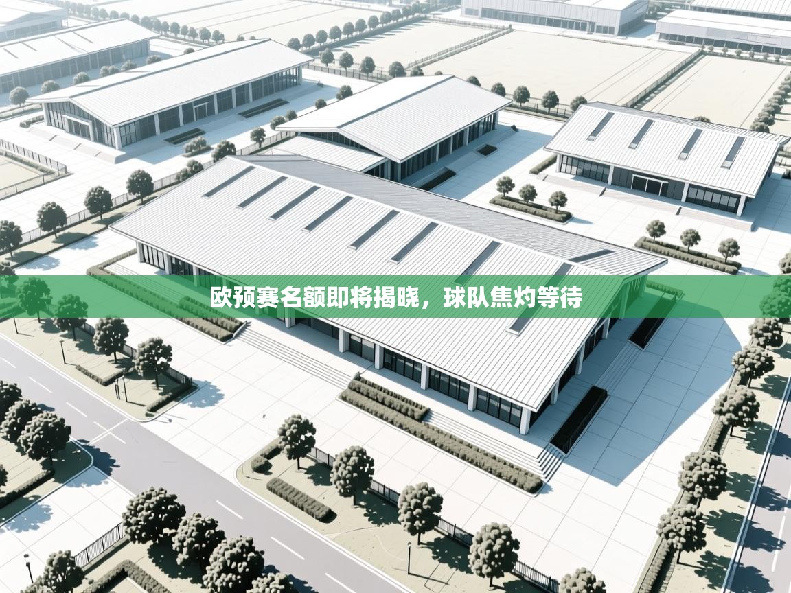 欧预赛名额即将揭晓,球队焦灼等待 第1张