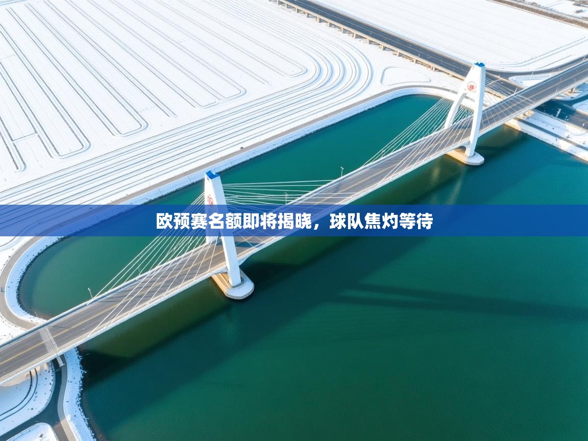 欧预赛名额即将揭晓,球队焦灼等待 第2张