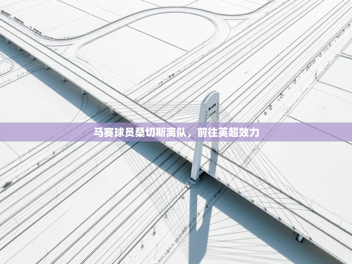 马赛球员桑切斯离队，前往英超效力  第1张