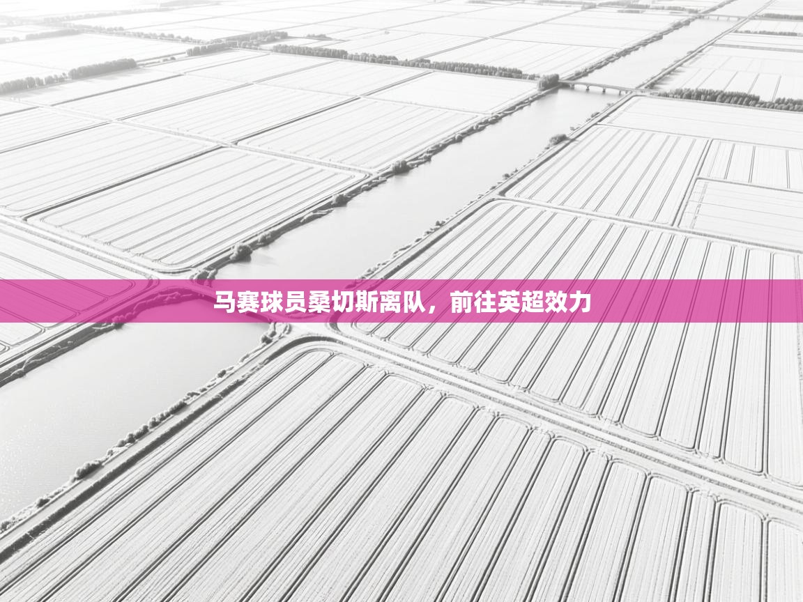 马赛球员桑切斯离队，前往英超效力  第2张