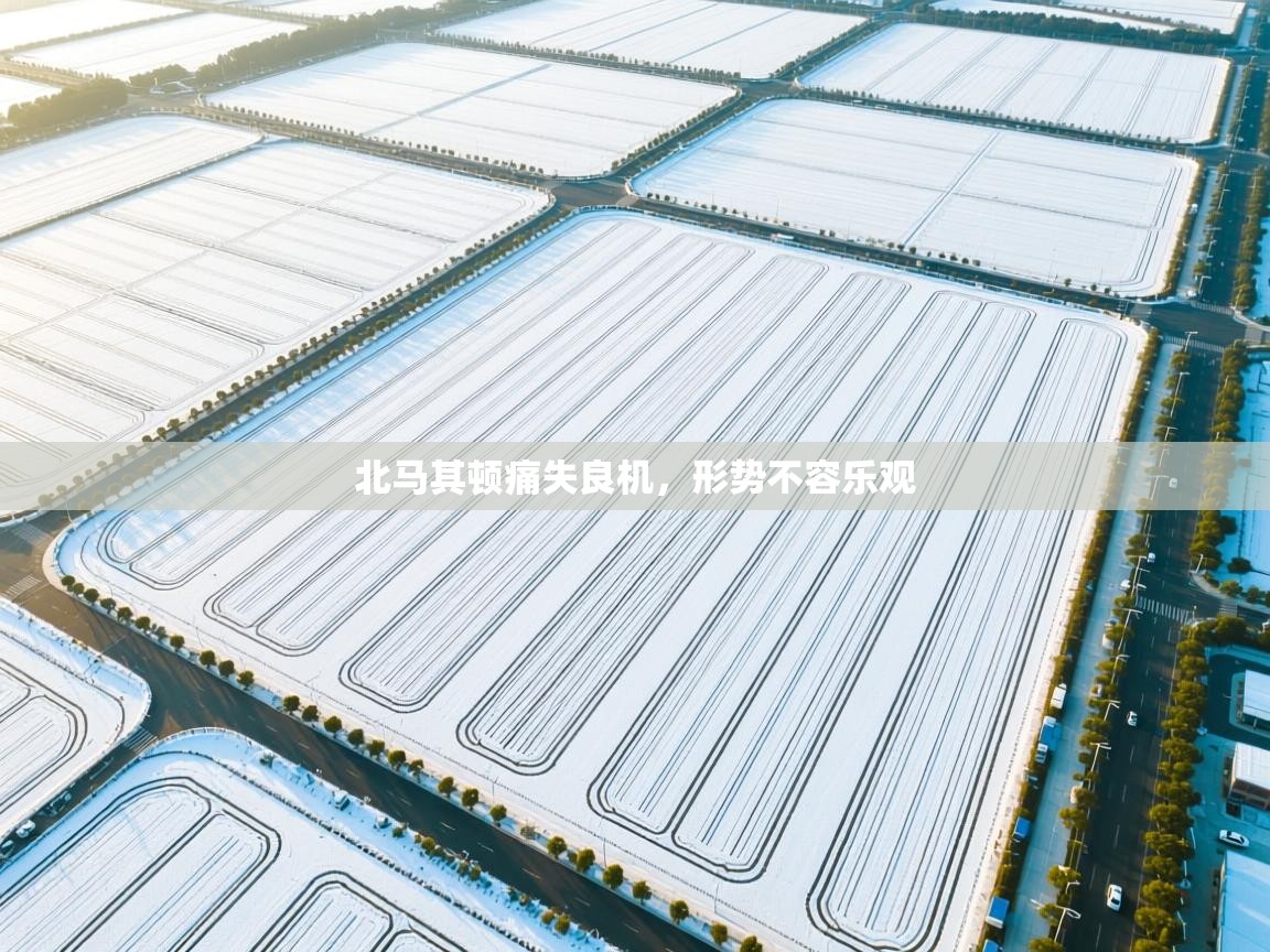 北马其顿痛失良机，形势不容乐观  第1张