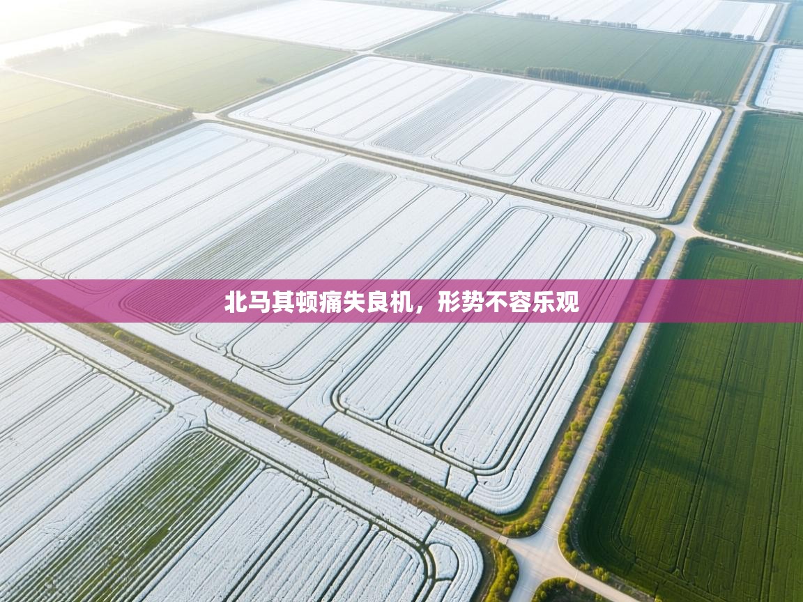 北马其顿痛失良机，形势不容乐观  第2张